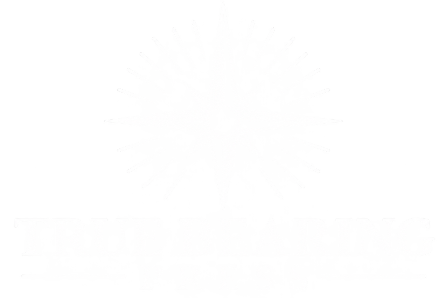 truebearing.press